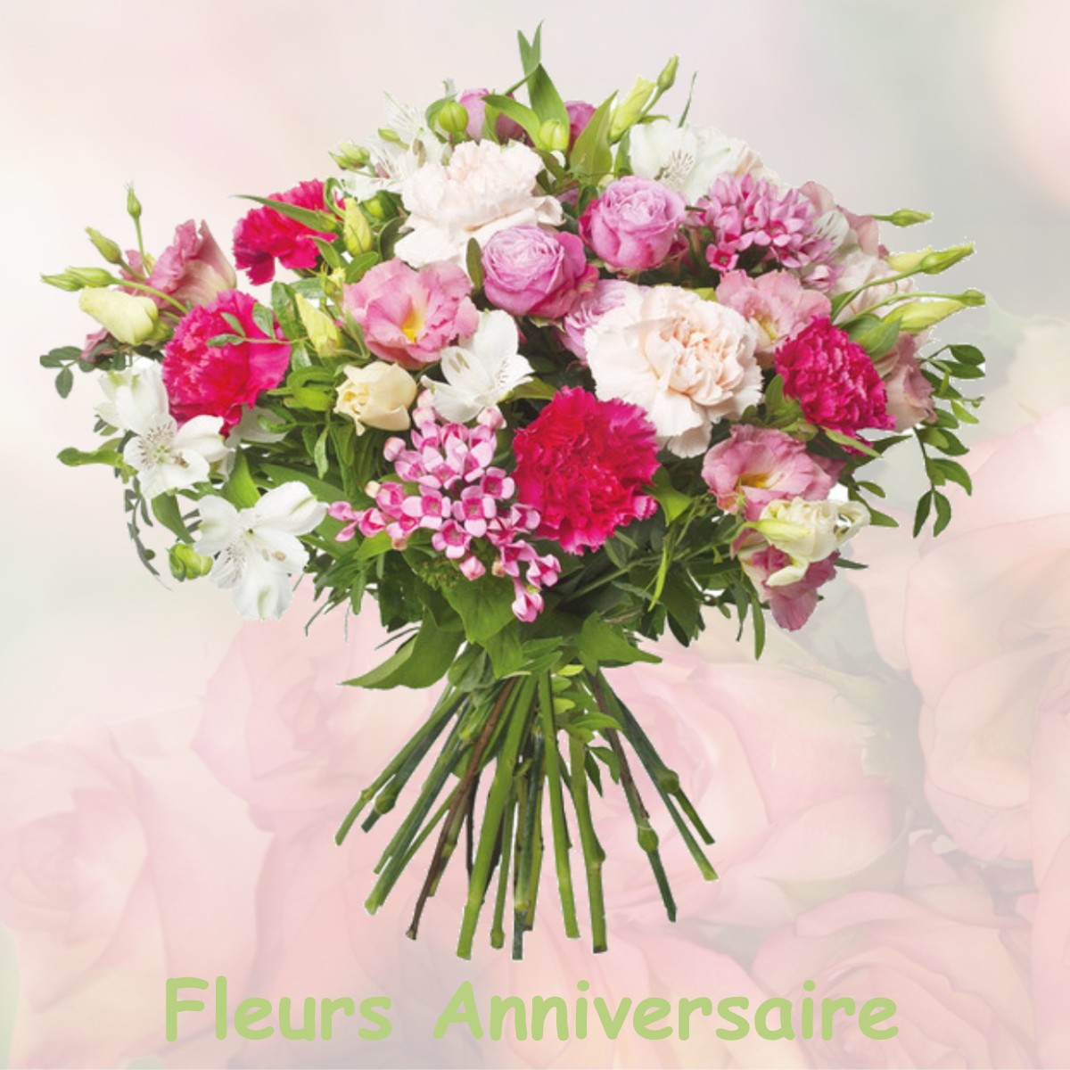 fleurs anniversaire MONTCEAUX-RAGNY